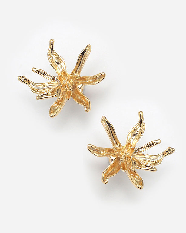 Brinco Star Ouro